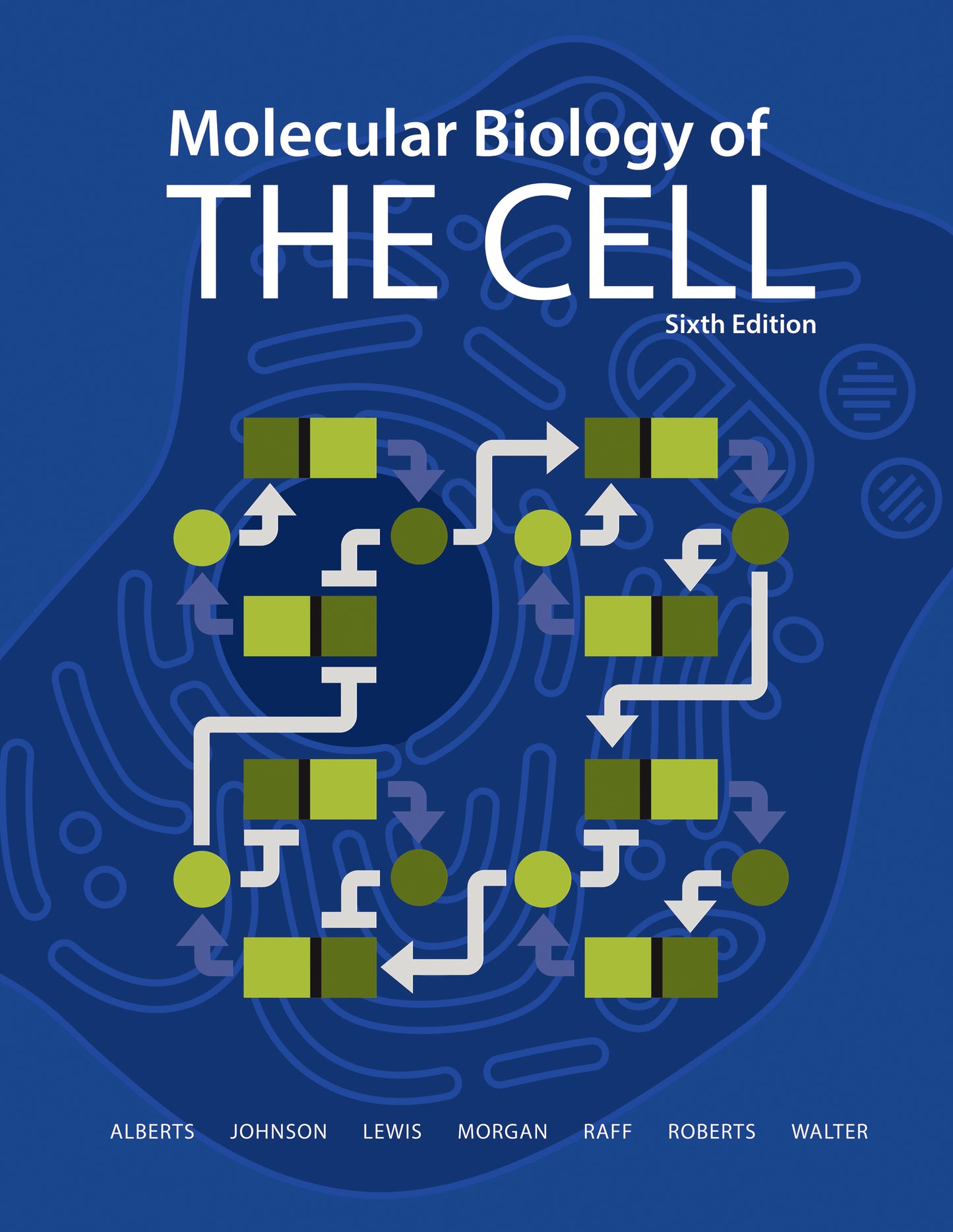 Molecular Biology of the Cell 6th Edition PDF